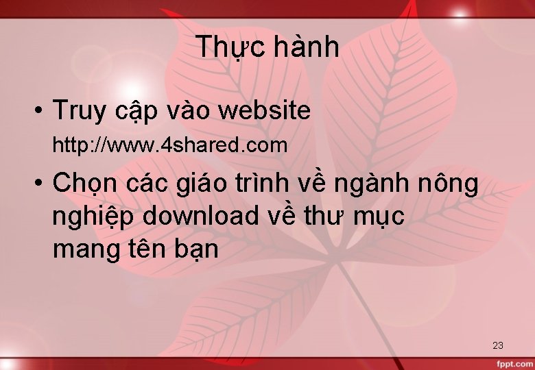 Thực hành • Truy cập vào website http: //www. 4 shared. com • Chọn