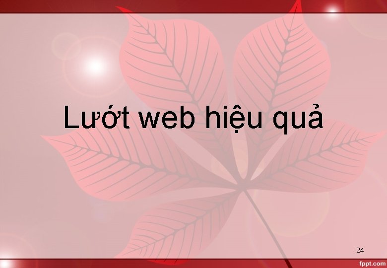 Lướt web hiệu quả 24 