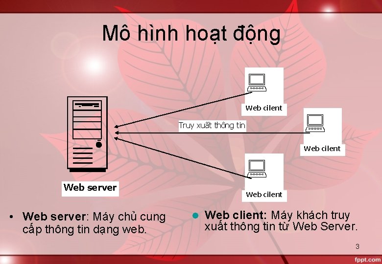 Mô hình hoạt động Web cilent Truy xuất thông tin Web cilent Web server