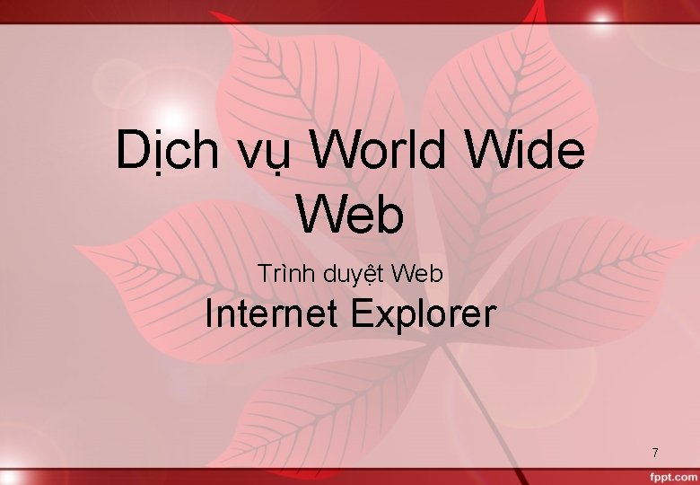 Dịch vụ World Wide Web Trình duyệt Web Internet Explorer 7 