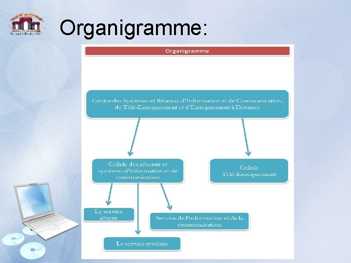 Organigramme: 