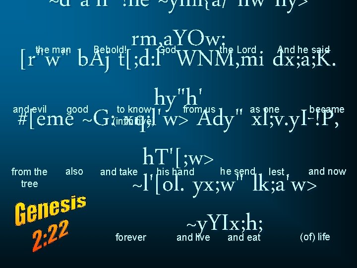 ~d"a'h' !he ~yhil{a/ hw"hy> rm, a. YOw: [r"w" b. Aj t[; d: l' WNM,