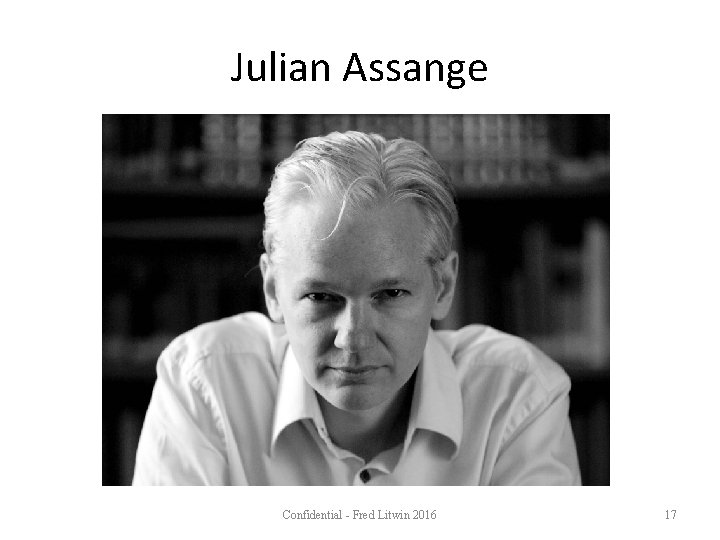 Julian Assange Confidential - Fred Litwin 2016 17 