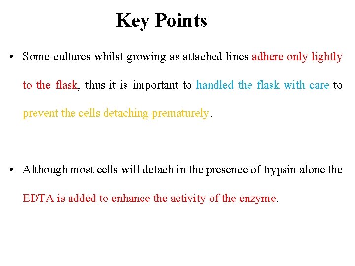 Key Points • Some cultures whilst growing as attached lines adhere only lightly to