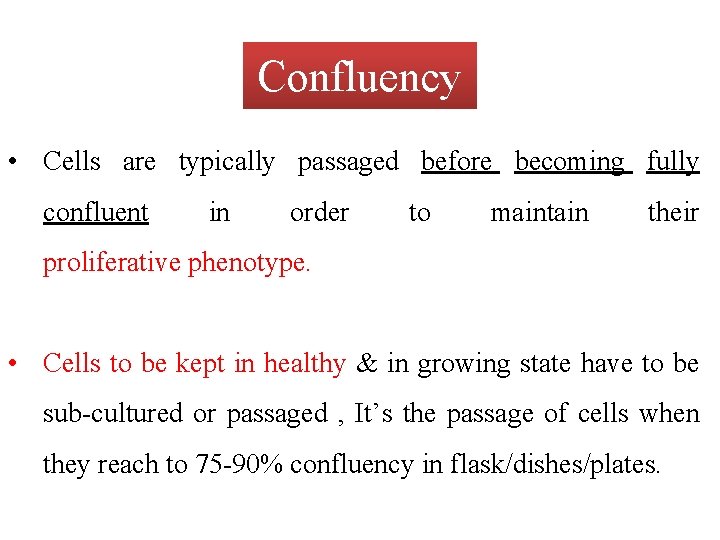 Confluency • Cells are typically passaged before becoming fully confluent in order to maintain