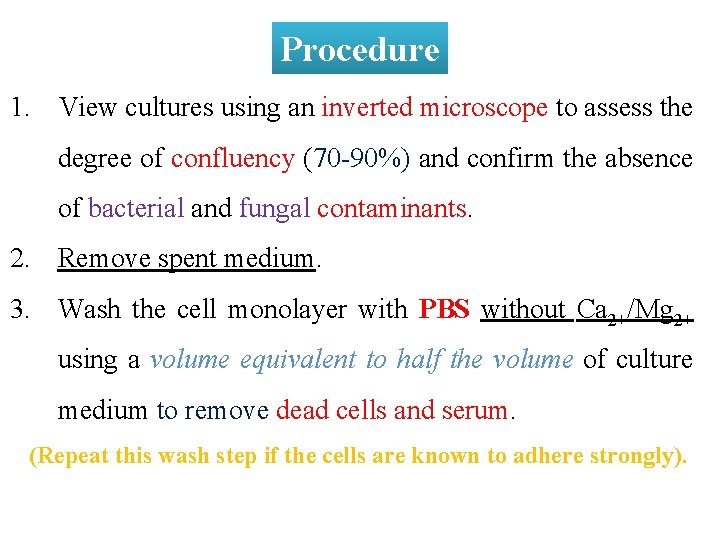 Procedure 1. View cultures using an inverted microscope to assess the degree of confluency