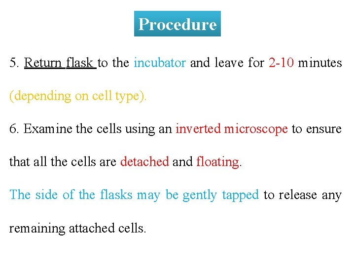 Procedure 5. Return flask to the incubator and leave for 2 -10 minutes (depending