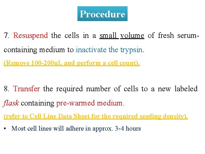 Procedure 7. Resuspend the cells in a small volume of fresh serumcontaining medium to