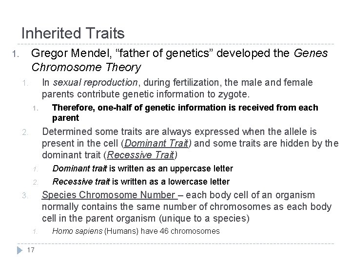 Inherited Traits Gregor Mendel, “father of genetics” developed the Genes Chromosome Theory 1. In