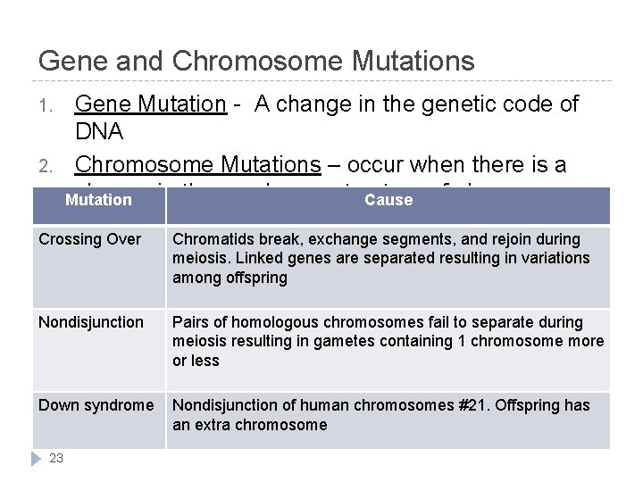 Gene and Chromosome Mutations 1. 2. Gene Mutation - A change in the genetic