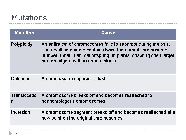 Mutations Mutation Cause Polyploidy An entire set of chromosomes fails to separate during meiosis.