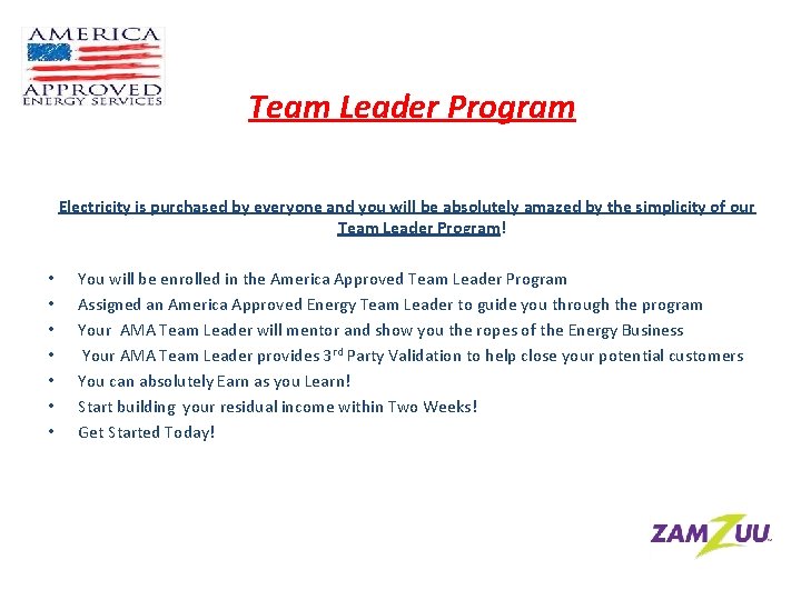 Team Leader Program Electricity is purchased by everyone and you will be absolutely amazed