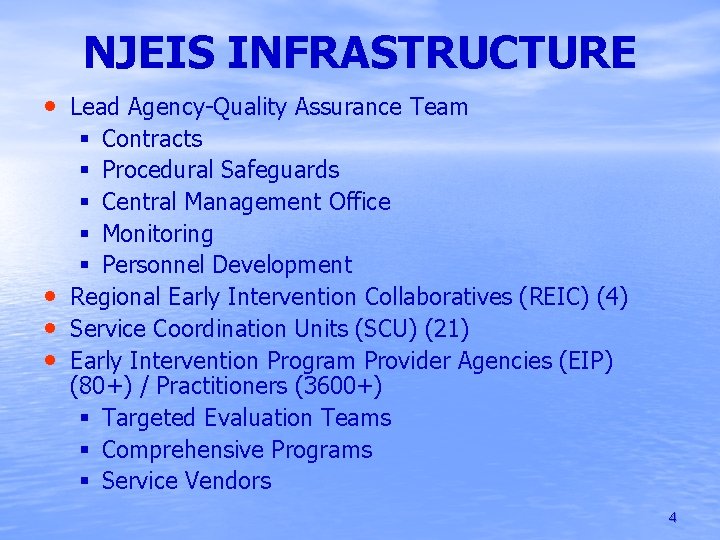 NJEIS INFRASTRUCTURE • Lead Agency-Quality Assurance Team § Contracts § Procedural Safeguards § Central