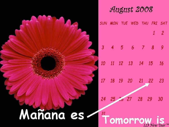 Mañana es Tomorrow is 