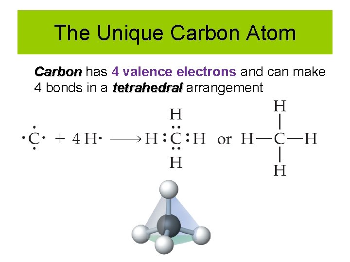 The Unique Carbon Atom Carbon has 4 valence electrons and can make 4 bonds