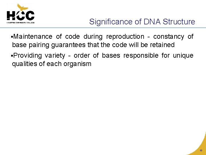 Significance of DNA Structure §Maintenance of code during reproduction - constancy of base pairing