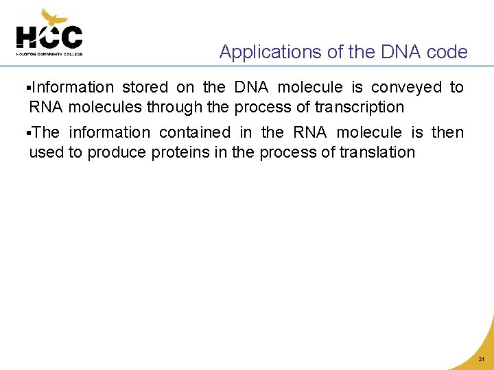 Applications of the DNA code §Information stored on the DNA molecule is conveyed to