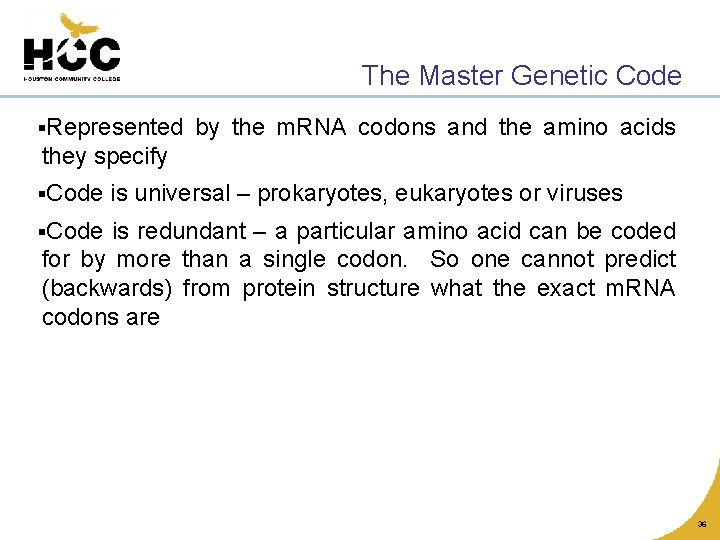 The Master Genetic Code §Represented by the m. RNA codons and the amino acids