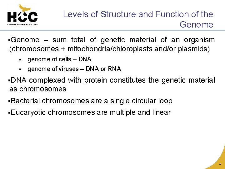 Levels of Structure and Function of the Genome §Genome – sum total of genetic