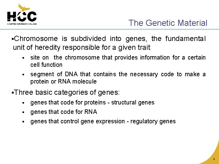 The Genetic Material §Chromosome is subdivided into genes, the fundamental unit of heredity responsible