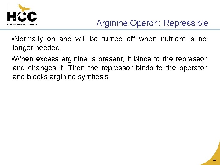 Arginine Operon: Repressible §Normally on and will be turned off when nutrient is no
