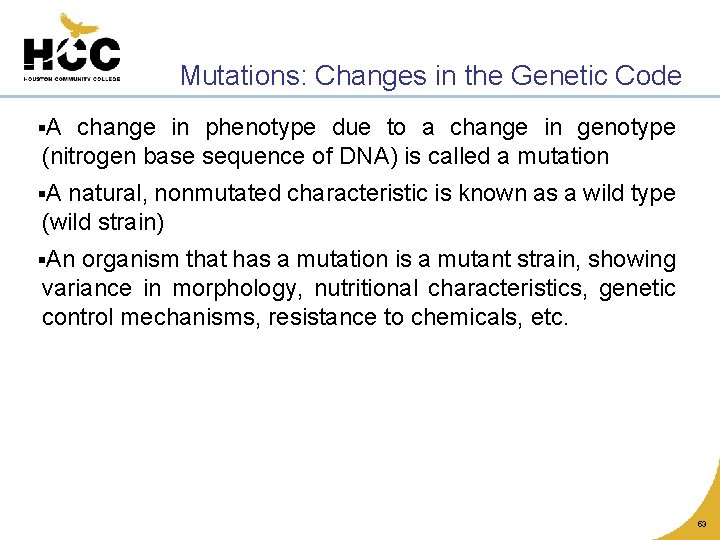 Mutations: Changes in the Genetic Code §A change in phenotype due to a change