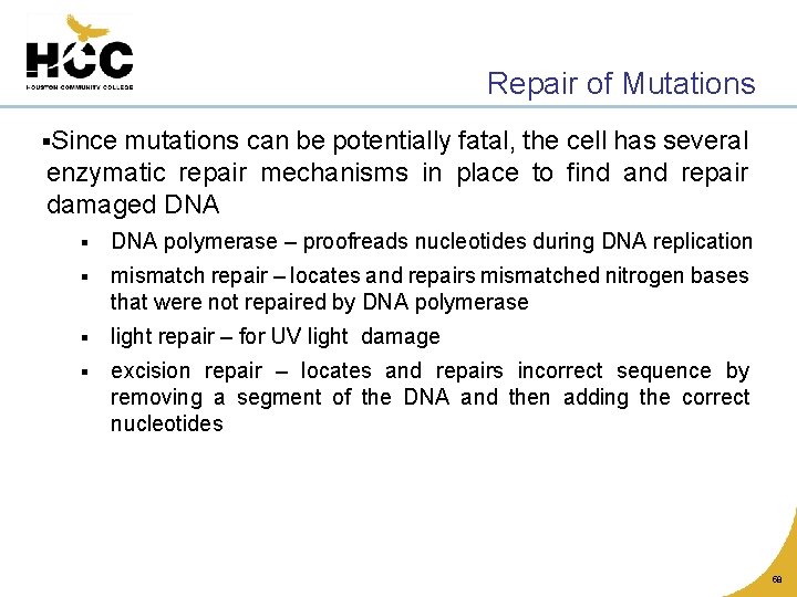 Repair of Mutations §Since mutations can be potentially fatal, the cell has several enzymatic