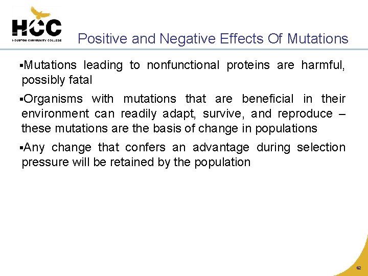 Positive and Negative Effects Of Mutations §Mutations leading to nonfunctional proteins are harmful, possibly
