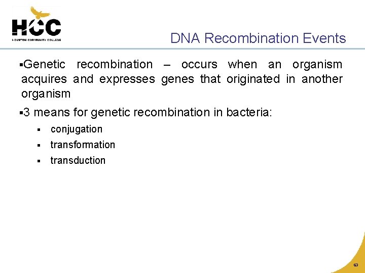 DNA Recombination Events §Genetic recombination – occurs when an organism acquires and expresses genes