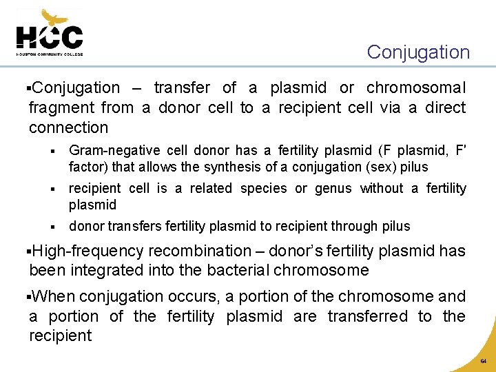 Conjugation §Conjugation – transfer of a plasmid or chromosomal fragment from a donor cell
