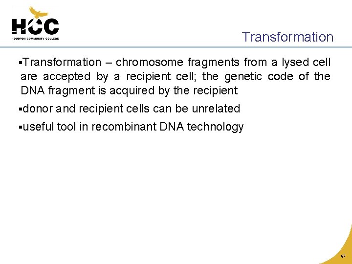 Transformation §Transformation – chromosome fragments from a lysed cell are accepted by a recipient