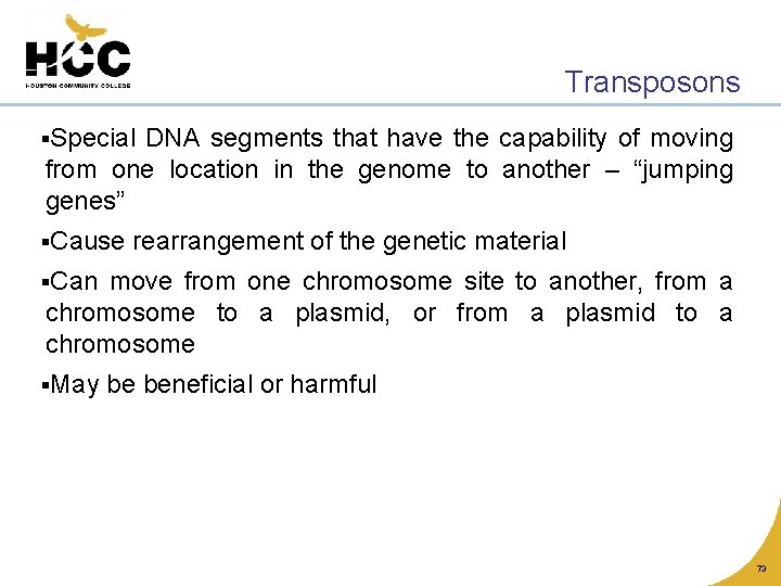 Transposons §Special DNA segments that have the capability of moving from one location in