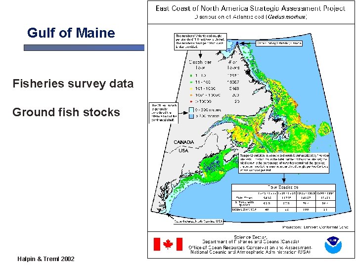 Gulf of Maine Fisheries survey data Ground fish stocks Halpin & Treml 2002 Gulf of Maine Fisheries survey data Ground fish stocks Halpin & Treml 2002