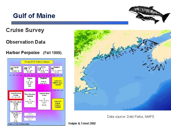 Gulf of Maine Cruise Survey Observation Data Harbor Porpoise (Fall 1999). Data source: Debi Gulf of Maine Cruise Survey Observation Data Harbor Porpoise (Fall 1999). Data source: Debi