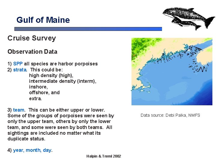 Gulf of Maine Cruise Survey Observation Data 1) SPP all species are harbor porpoises Gulf of Maine Cruise Survey Observation Data 1) SPP all species are harbor porpoises