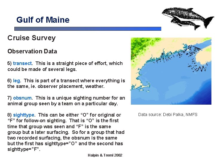 Gulf of Maine Cruise Survey Observation Data 5) transect. This is a straight piece Gulf of Maine Cruise Survey Observation Data 5) transect. This is a straight piece