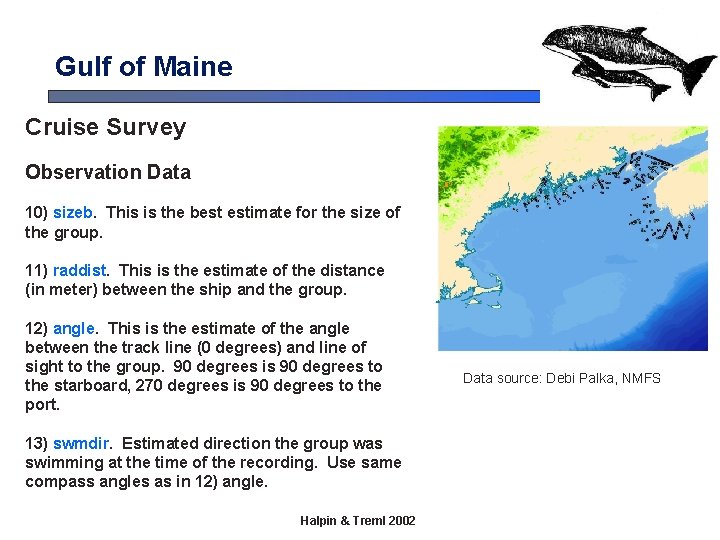 Gulf of Maine Cruise Survey Observation Data 10) sizeb. This is the best estimate Gulf of Maine Cruise Survey Observation Data 10) sizeb. This is the best estimate