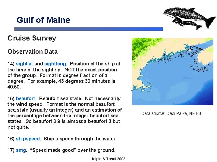 Gulf of Maine Cruise Survey Observation Data 14) sightlat and sightlong. Position of the Gulf of Maine Cruise Survey Observation Data 14) sightlat and sightlong. Position of the