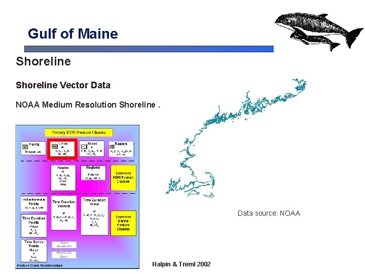 Gulf of Maine Shoreline Vector Data NOAA Medium Resolution Shoreline. Data source: NOAA Halpin Gulf of Maine Shoreline Vector Data NOAA Medium Resolution Shoreline. Data source: NOAA Halpin