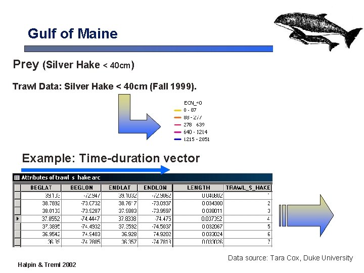 Gulf of Maine Prey (Silver Hake < 40 cm) Trawl Data: Silver Hake < Gulf of Maine Prey (Silver Hake < 40 cm) Trawl Data: Silver Hake <
