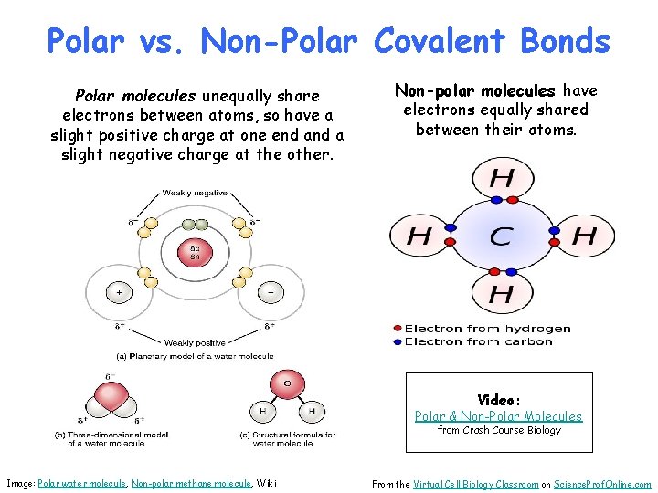 Polar vs. Non-Polar Covalent Bonds Polar molecules unequally share electrons between atoms, so have
