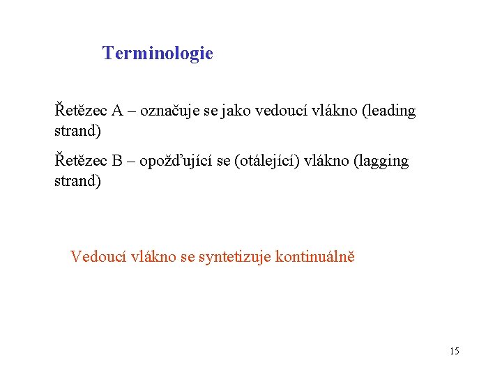 Terminologie Řetězec A – označuje se jako vedoucí vlákno (leading strand) Řetězec B –