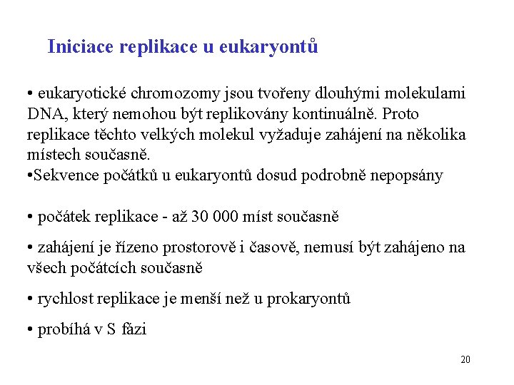 Iniciace replikace u eukaryontů • eukaryotické chromozomy jsou tvořeny dlouhými molekulami DNA, který nemohou