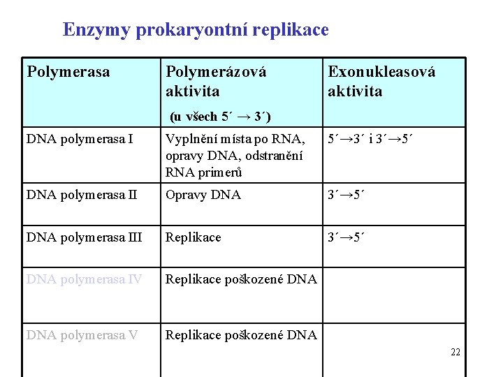 Enzymy prokaryontní replikace Polymerasa Polymerázová aktivita Exonukleasová aktivita (u všech 5´ → 3´) DNA