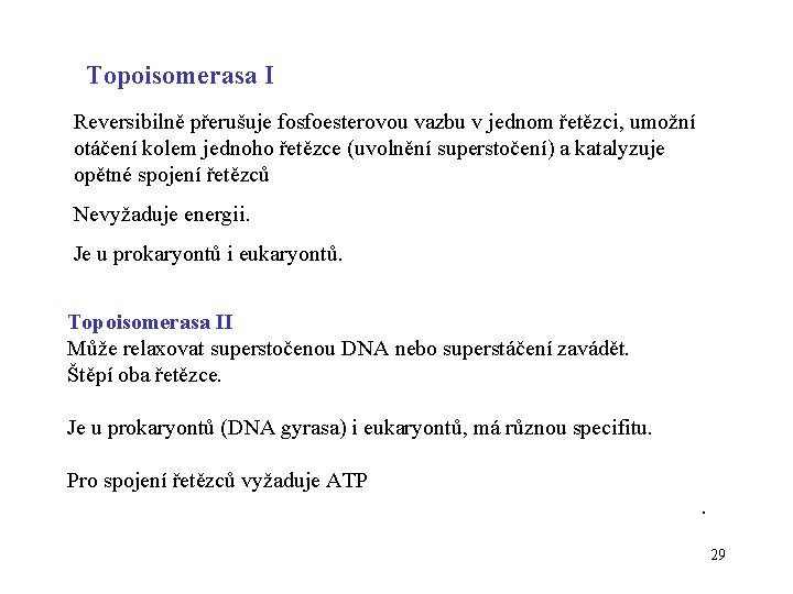 Topoisomerasa I Reversibilně přerušuje fosfoesterovou vazbu v jednom řetězci, umožní otáčení kolem jednoho řetězce