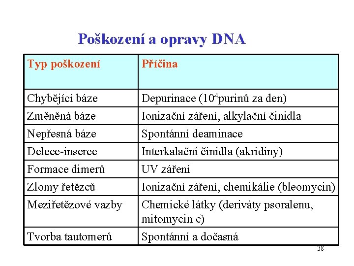 Poškození a opravy DNA Typ poškození Příčina Chybějící báze Depurinace (104 purinů za den)