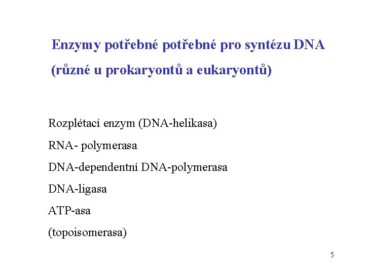 Enzymy potřebné pro syntézu DNA (různé u prokaryontů a eukaryontů) Rozplétací enzym (DNA-helikasa) RNA-