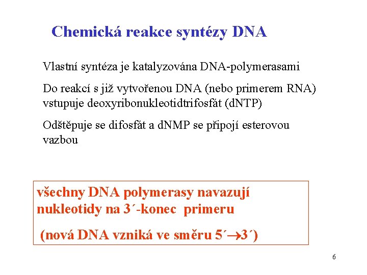Chemická reakce syntézy DNA Vlastní syntéza je katalyzována DNA-polymerasami Do reakcí s již vytvořenou