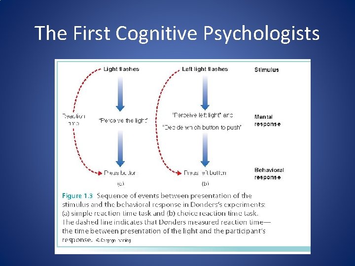 The First Cognitive Psychologists 