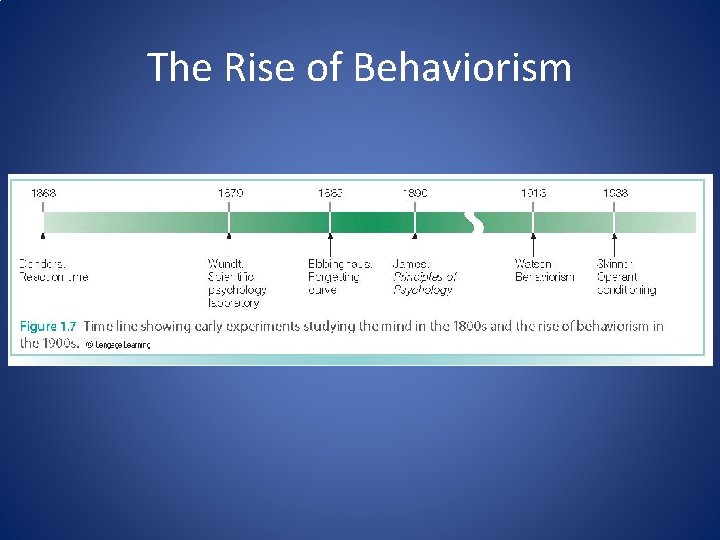 The Rise of Behaviorism 